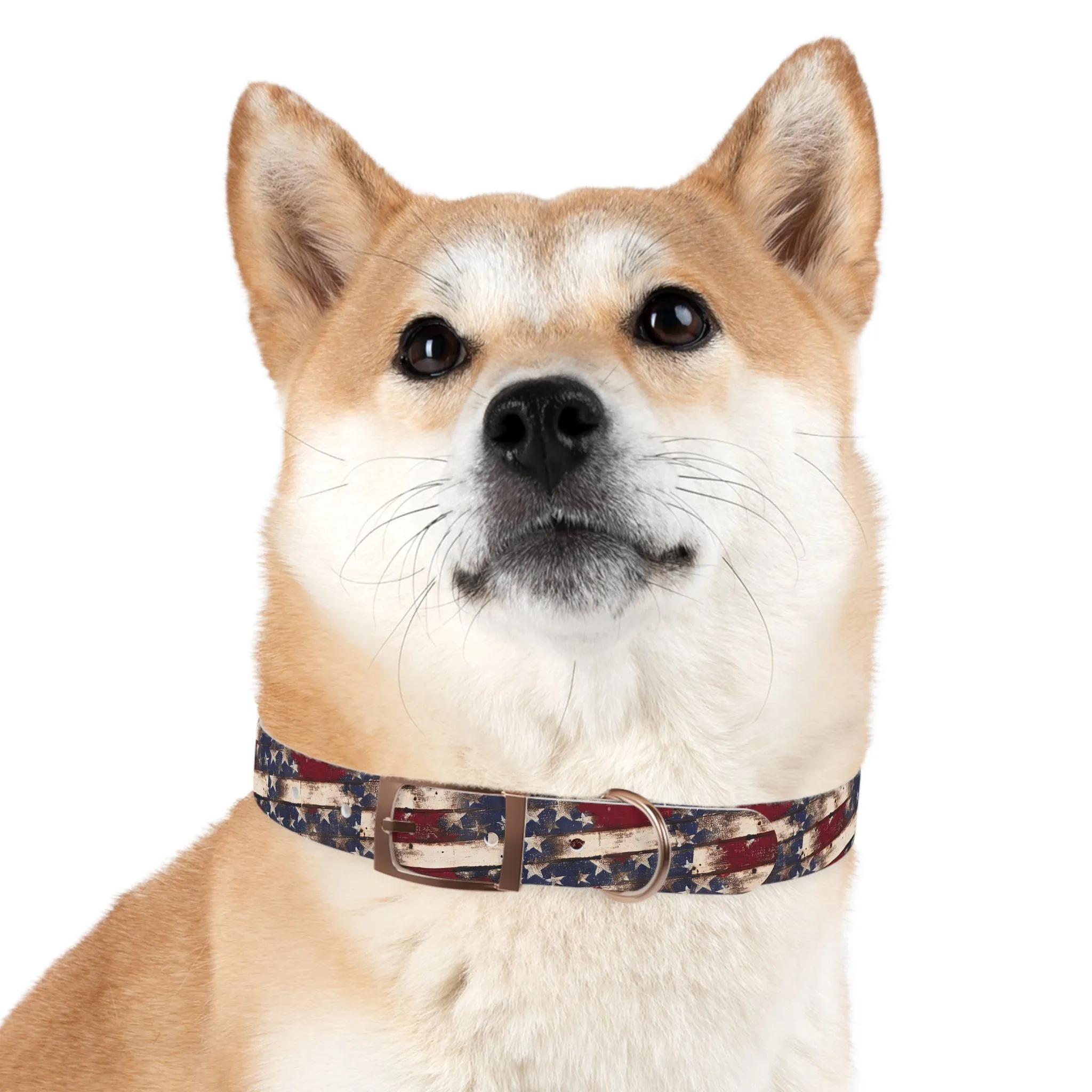 Distressed Flag Dog Collar